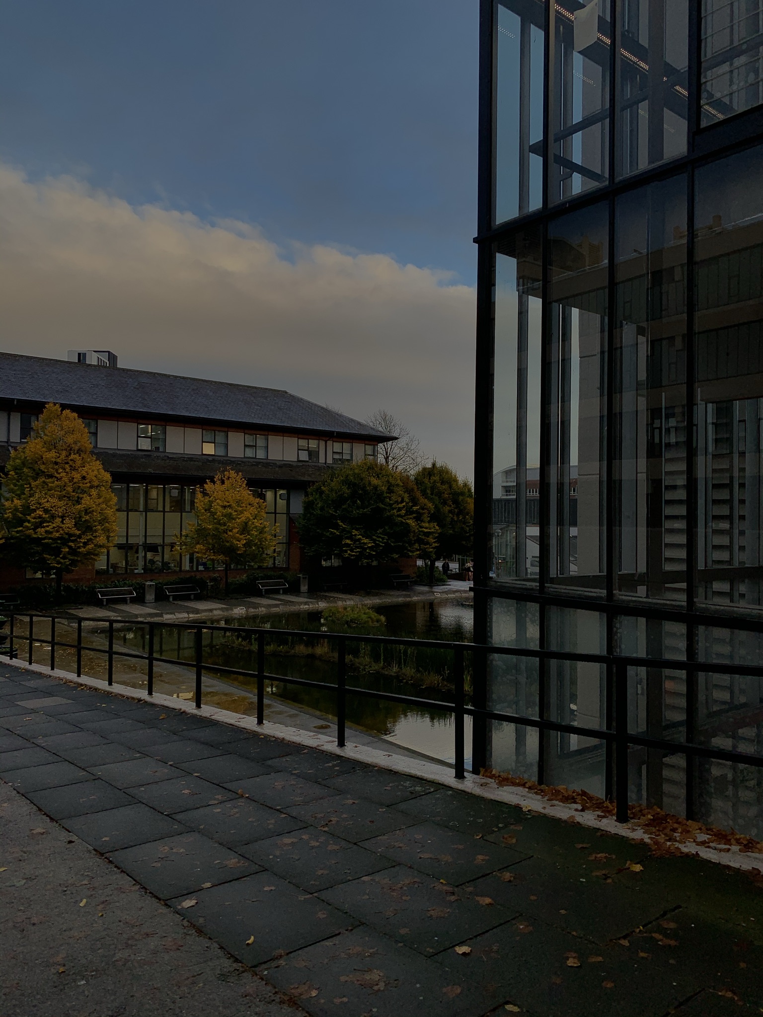 An area of the University of Leeds' campus during autumn